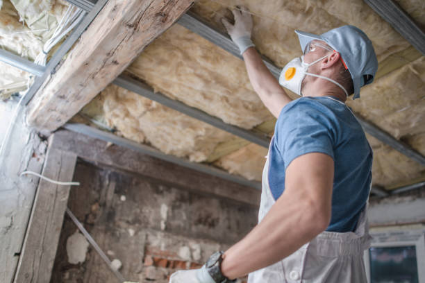 Best DIY Insulation Kits and Guidance in Peabody, KS