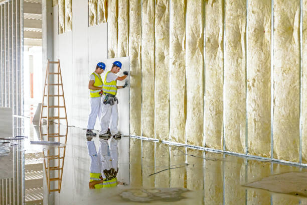 Best Insulation Maintenance and Repair in Peabody, KS